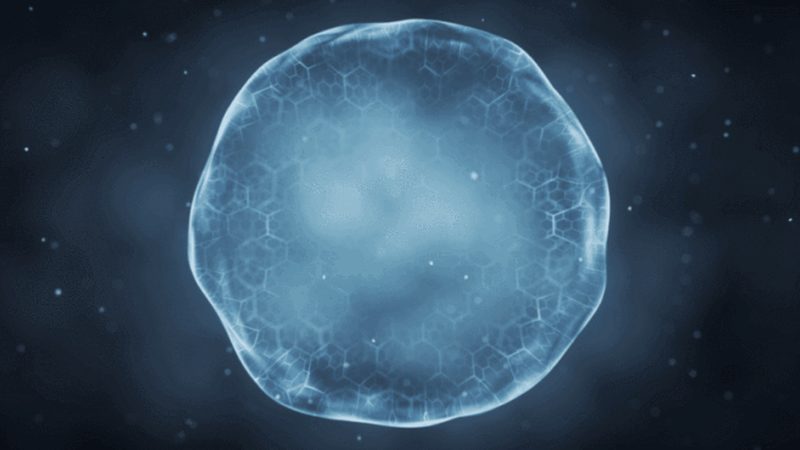生物制剂冷链运输，温差一度都可能致命