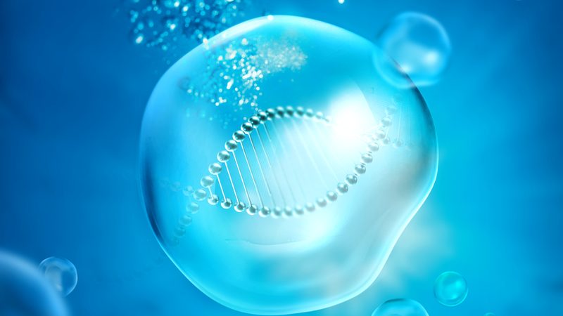 北京生物试剂厂家直销到底省在哪