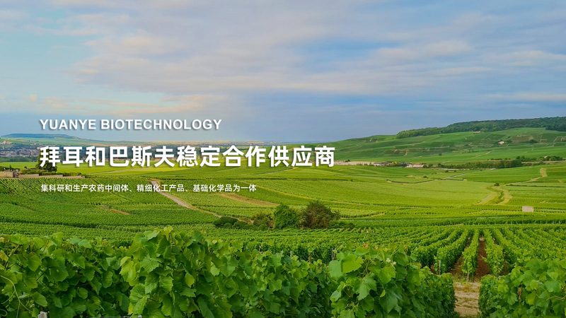 粉末DMEM培养基的配制：关键步骤与注意事项