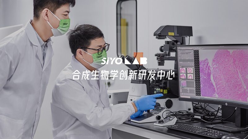以某生物科技公司为例，该公司通过以下措施提升了研发效率：