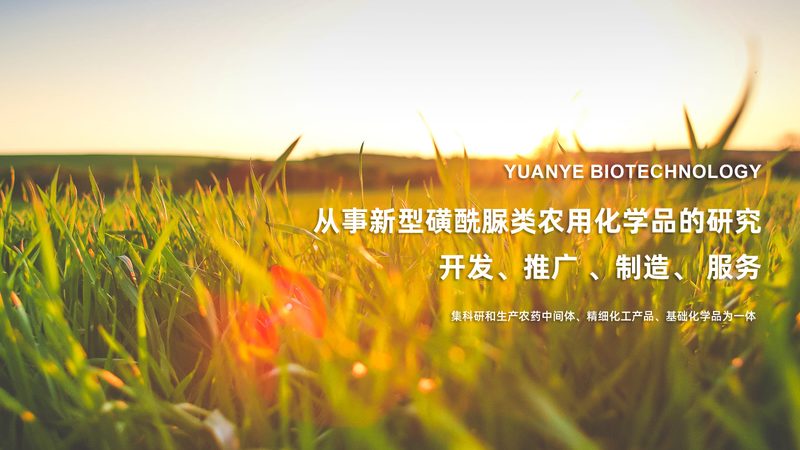离心管选尺寸和容量，90%的人第一步就错了