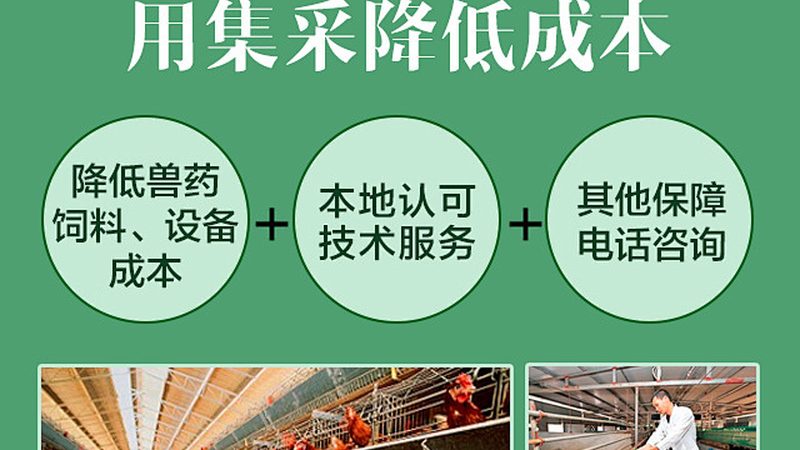 引物合成质量如何保障？关键评估指标解析