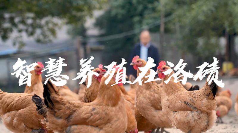 实验室仪器型号查询：别让一串字母数字拖慢你的研发节奏