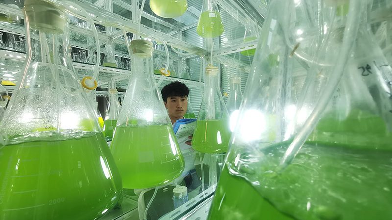 逆转录酶：生物医药研发的“魔术师”与如何选择合适的生产厂家